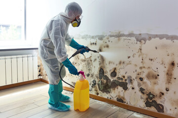Water Damage Restoration Services